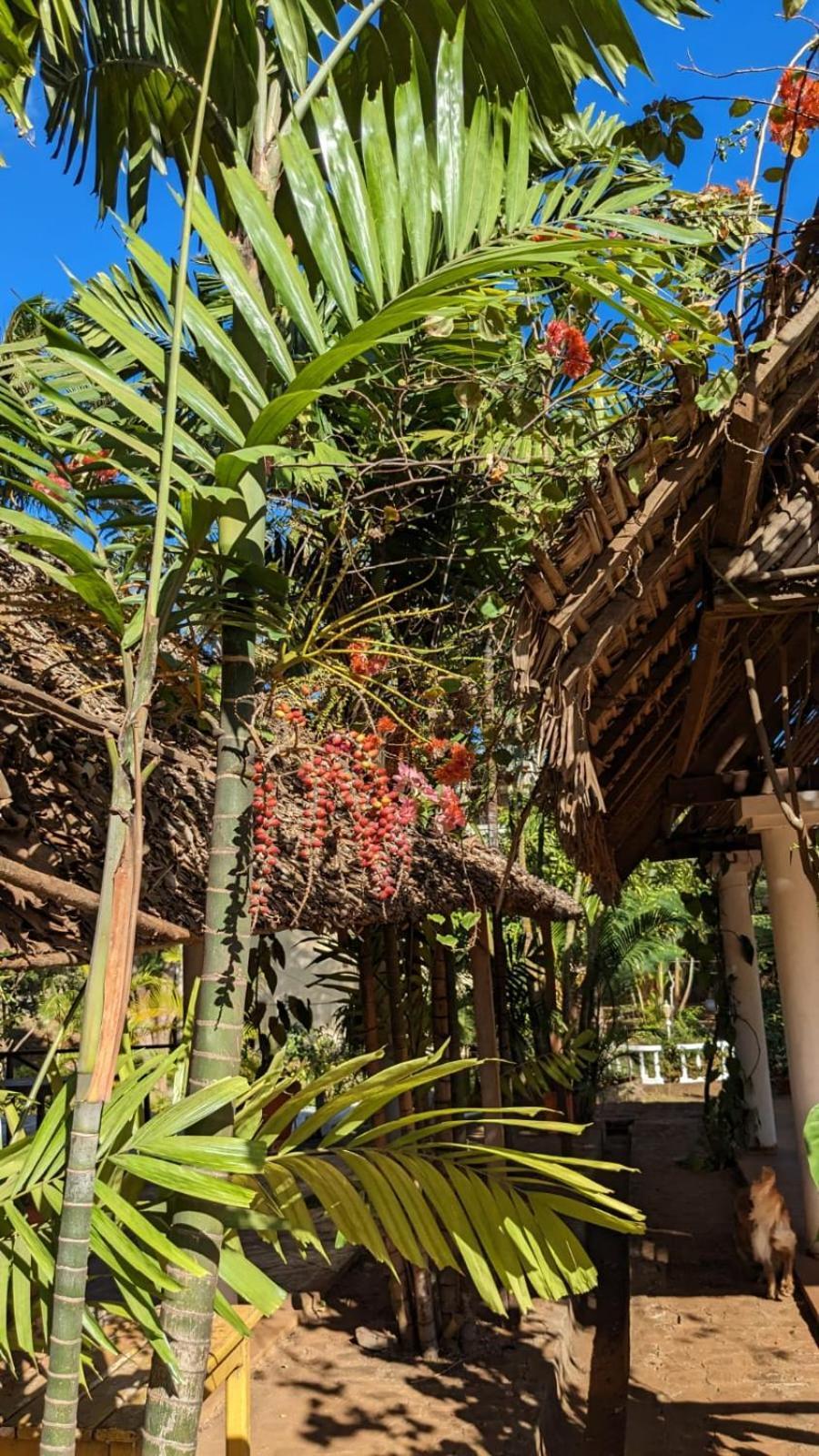 Ar Sun Hotel Antsiranana Dış mekan fotoğraf